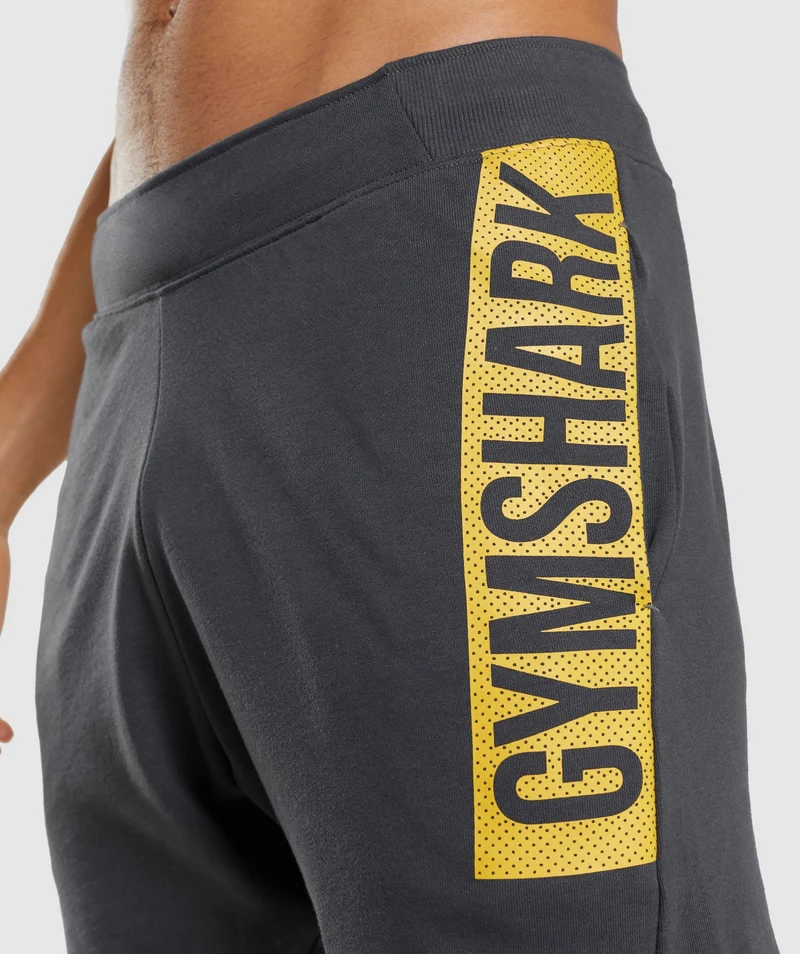 Gymshark Bold Short - Grey