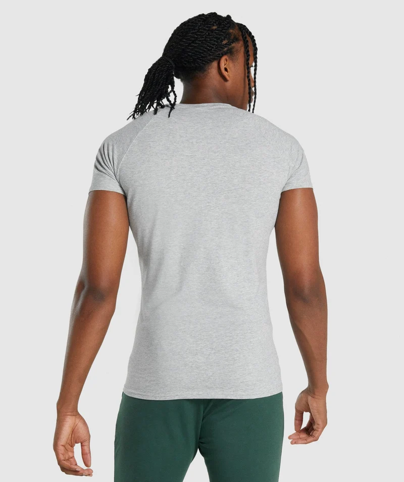 Gymshark Critical 2.0 T-Shirt - Light Grey Marl