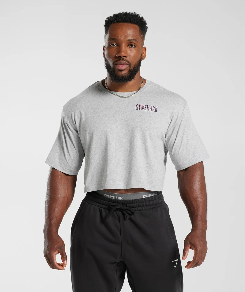Gymshark Retrowave Crop T-Shirt - Light Grey Core Marl