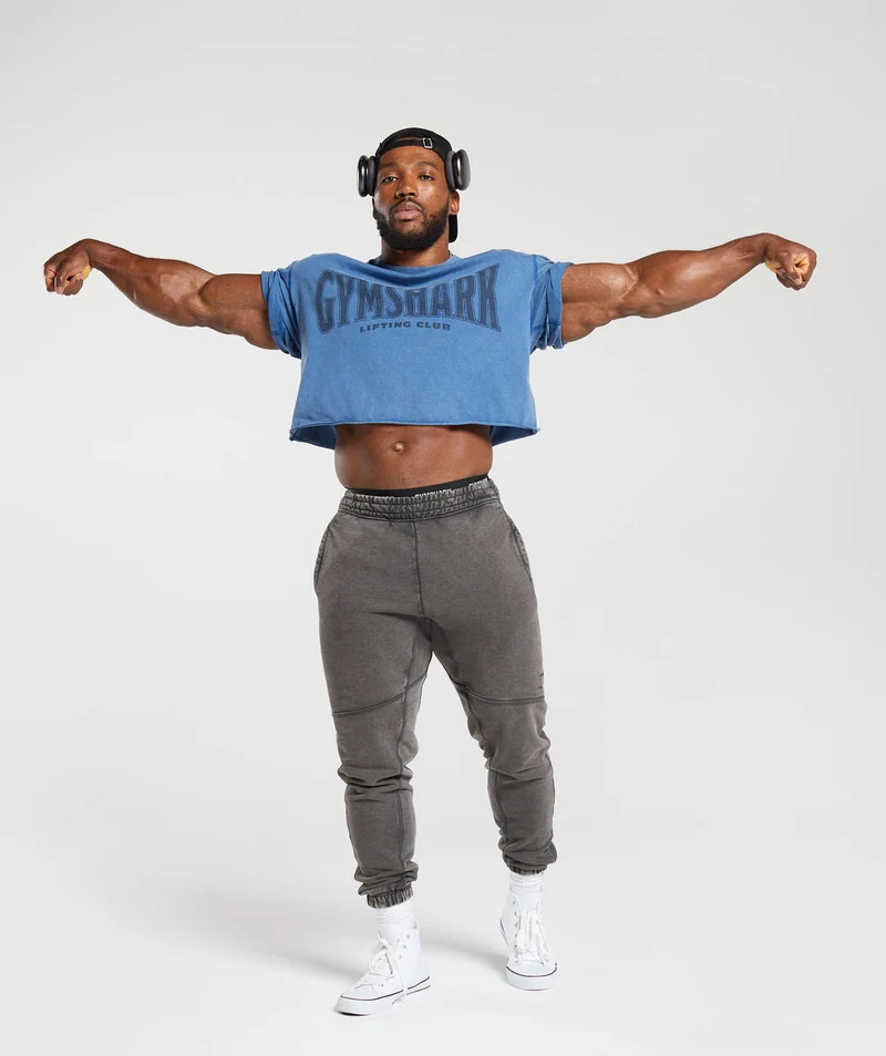 Gymshark Heritage Washed Crop T-Shirt - Vintage Blue