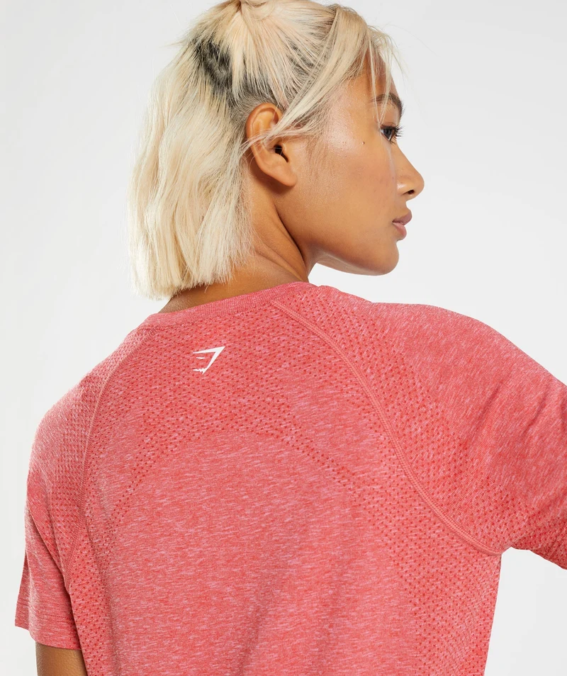 Gymshark Vital Seamless 2.0 Light T-Shirt - Chilli Red Marl
