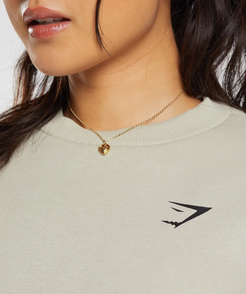Gymshark Shark Attack Oversized Sweatshirt - Brown