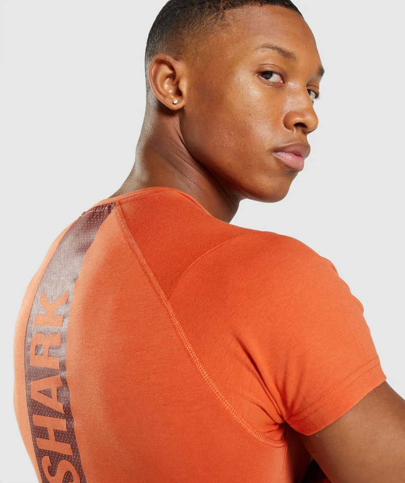 Gymshark Bold T-Shirt - Clay Orange